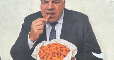 Sam Allardyce was immortalised in Dudley with a hilarious mural of him eating a bag of chips