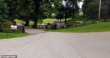 A manhunt has been launched after an eight-year-old school boy was sexually assaulted while camping with his family at Loch Ness Bay Campsite (pictured)