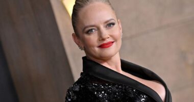 Marley Shelton Net Worth