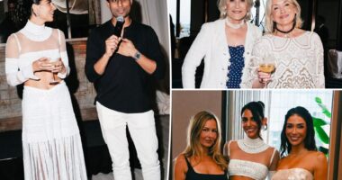 Martha Stewart, Serena Kerrigan, more attend dinner hosted by Bilt CEO Ankur Jain
