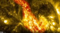 It was triggered by a solar filament, a dense, rope-like ribbon of solar material, that suddenly snapped and collapsed and shoot a coronal mass ejection (CME)