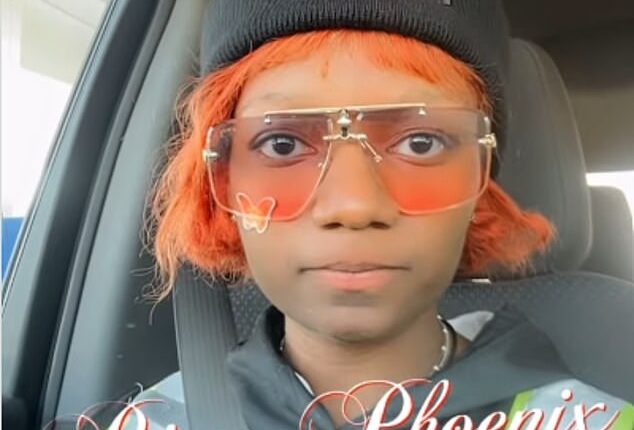 Afeni Muhammad, 26, posted a video claiming her boss was bullying her a day before she stabbed her to death in the McDonald's they worked at in Michigan