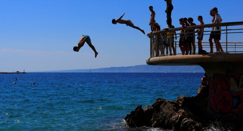 Mediterranean Sea hits record 30C as European marine heatwave puts species at risk