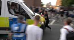 A man was seen being struck by a police van following violent protests outside a migrant hotel in Essex