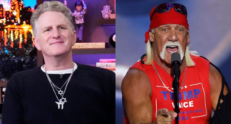 Michael Rapaport Defends Hulk Hogan Resurfaced Backlash Late Wrestler Racist Remarks Video