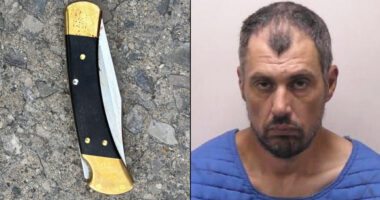 Michigan Man Charged With Terrorism in Walmart Knife Attack