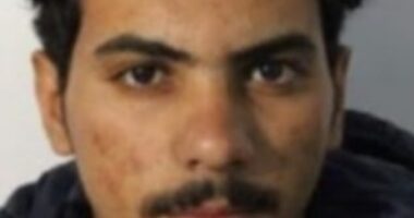 Zayed Alanzi, 26, reportedly stalked a suicidal mother before he grabbed her by the cheeks, kissed her and shoved his tongue inside