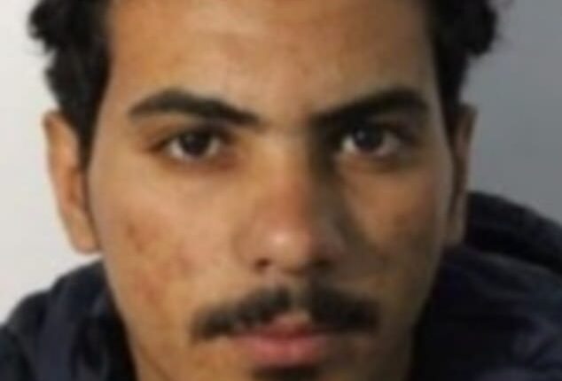 Zayed Alanzi, 26, reportedly stalked a suicidal mother before he grabbed her by the cheeks, kissed her and shoved his tongue inside