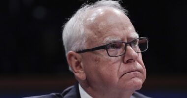 Minnesota Assassin Tears Big Hole in Media’s Portrayal of His Motive, Mentions Tim Walz Again – RedState