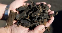 A mom was alarmed after learning the soft-looking ground under a new playground wasn’t wood chips or grass but shredded car tires (stock image)