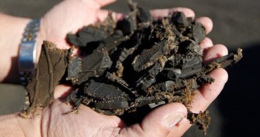 A mom was alarmed after learning the soft-looking ground under a new playground wasn’t wood chips or grass but shredded car tires (stock image)