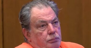 The woman, who lives in Brecksville, Ohio, unknowingly hired stalker Robert Hocevar's company Elite Technology in 2022 to install a home security system