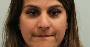 Anbreen Tariq, pictured, of Ealing, admitted three counts of child cruelty, relating to three children