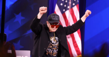 Musk Taps Tesla’s Indian CFO as ‘America Party’ Treasurer.