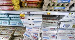 NPR Quietly Forced to Report Major Restaurant Chain Is Ending Egg Surcharge for Customers – RedState