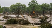 The agency under fire over a delayed warning ahead of the floods that have killed at least 50 people in Texas had gone through massive job cuts in the months prior to the disaster