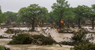 The agency under fire over a delayed warning ahead of the floods that have killed at least 50 people in Texas had gone through massive job cuts in the months prior to the disaster