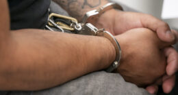 Nationwide ICE Op Catches Arsonists, Pedophiles, Human Traffickers.