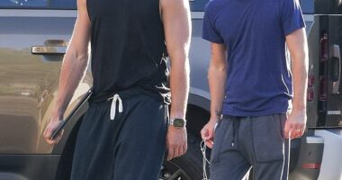 Patrick Schwarzenegger ¿ son of Terminator icon Arnold Schwarzenegger ¿ and John Owen Lowe ¿ son of Brat Pack heartthrob Rob Lowe - shocked fans over the weekend with their unexpected friendship after being spotted out together in Los Angeles on Saturday