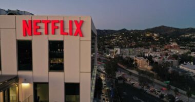Netflix’s profit surges. But it was not enough for the stock.