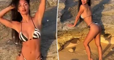 Nicole Scherzinger, 47, sizzles in animal-print bikini