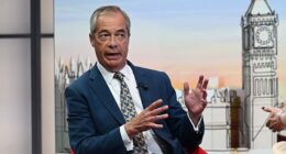 Nigel Farage, pictured today, will has set out a radical new crime package designed to tackle ¿lawless Britain'
