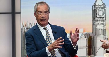 Nigel Farage, pictured today, will has set out a radical new crime package designed to tackle ¿lawless Britain'