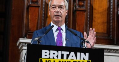 Nigel Farage warned that Britain is on the brink of 'societal collapse' and vowed to halve crime in five years if he is voted into Downing Street