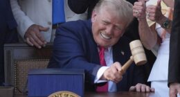 'No Amnesty' -- But ... – HotAir