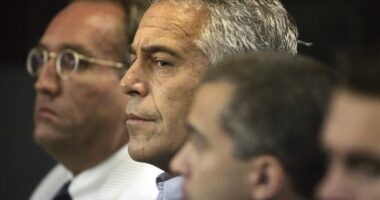Nobody Is Buying the Epstein Memo – HotAir