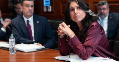 ODNI Task Force To Probe Whistleblowers, Election Vulnerabilities