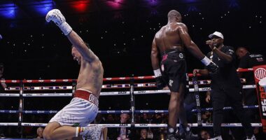 Oleksandr Usyk (left) beat Daniel Dubois in their rematch at Wembley Stadium on Saturday