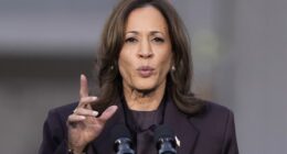 One of the Funniest Things About Kamala's July 4th Post Was Who She Cropped Out – RedState