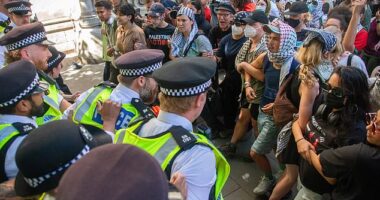 Police outside the Royal Courts of Justice as Palestine Action group is banned
