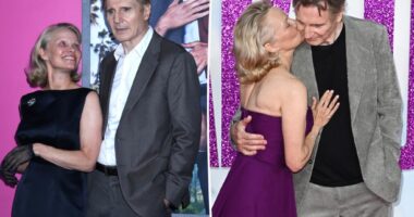 Pamela Anderson, Liam Neeson 'figuring things out'