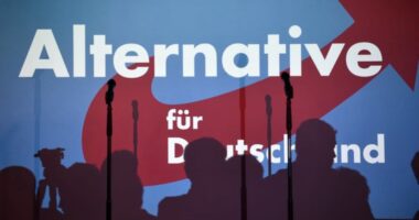 'Path to Civil War' — Majority of Germans Oppose Banning Populist Opposition.