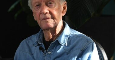 Paul Hogan (pictured) has revealed the true reason he was forced to use a wheelchair when arriving in Australia for a month-long holiday in May. The 85-year-old actor told 7NEWS on Monday that he suffered an injury in a skateboarding accident, which exacerbated his arthritis