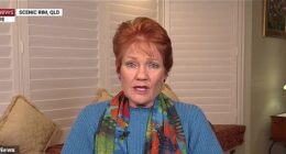 One Nation leader Pauline Hanson has accused both major parties of ignoring the welfare of young Australians battling to ever afford a house
