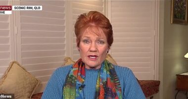 One Nation leader Pauline Hanson has accused both major parties of ignoring the welfare of young Australians battling to ever afford a house