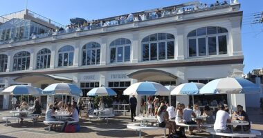 Pedro Pascal has just dropped a foodie bombshell while Down Under, and fans are already scrambling to make dinner reservations