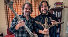 Peter Jackson Is Helping Bring Back a Massive Prehistoric Bird 600 Years After Extinction