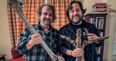 Peter Jackson Is Helping Bring Back a Massive Prehistoric Bird 600 Years After Extinction
