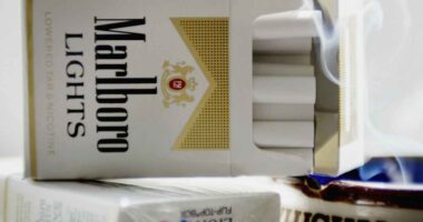 Philip Morris says black-market cigarettes are a big deal, as sales miss and stock falls