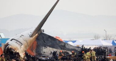 Pilot error reportedly behind South Korea’s deadly Jeju Air crash as victims’ families protest findings