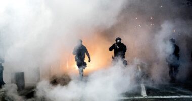 Portland Anti-ICE Characters Get Trolled by 'Trump' Big Time – RedState