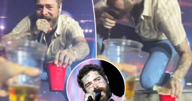 Post Malone falls offstage while toasting fan