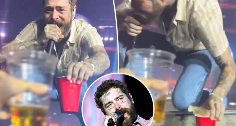 Post Malone falls offstage while toasting fan