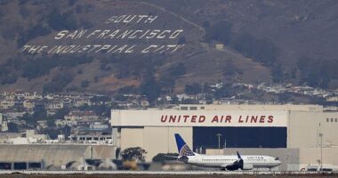 A United Airlines pilot asked for clarification from an air traffic controller, which potentially stopped a runway collision at San Francisco International Airport (file photo)