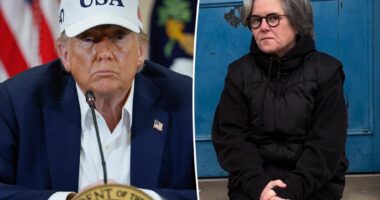President Trump considering revoking Rosie O'Donnell's US citizenship