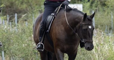 Prince Andrew appeared deep in thought as he enjoyed the warmer weather around the Windsor estate on Saturday morning